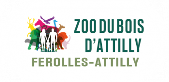 logo-attilly